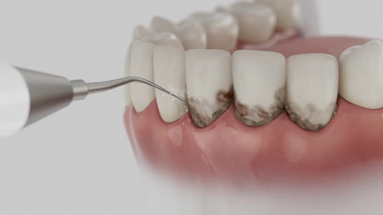 Reliable Dental contractor in Rohnert Park, CA by Dentist Open Now